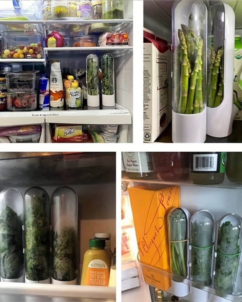 Pojemnik organizer Herb Keeper na zioła warzywa mini szklarnia