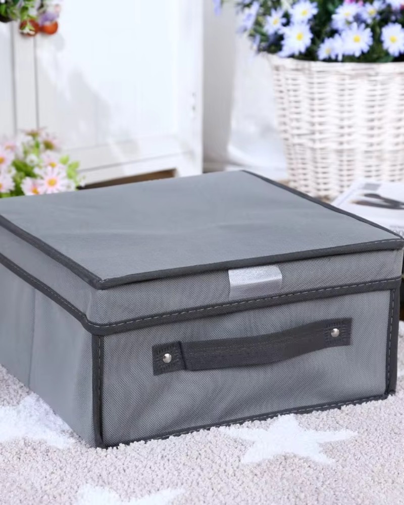 Organizer pojemnik pudełko do szafy na odzież buty zamykany 45x30