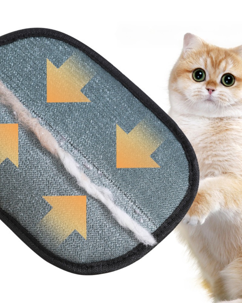 Rękawica do usuwania sierści z kanapy mebli