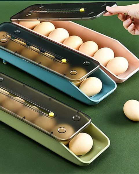 Organizer pojemnik na jajka organizer do lodówki podajnik na 6-8 jajek