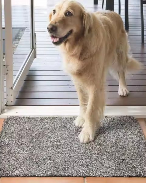 Magiczna wycieraczka Clean Step 70x45 Brązowa