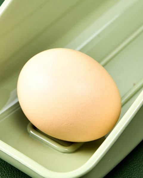 Organizer pojemnik na jajka organizer do lodówki podajnik na 6-8 jajek