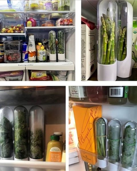 Pojemnik organizer Herb Keeper na zioła warzywa mini szklarnia