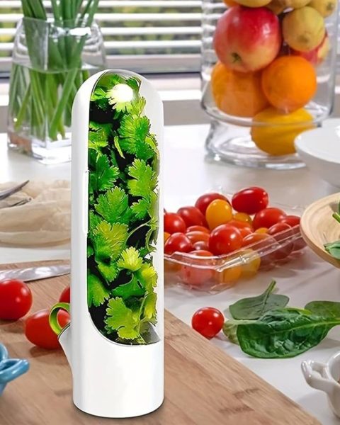 Pojemnik organizer Herb Keeper na zioła warzywa mini szklarnia