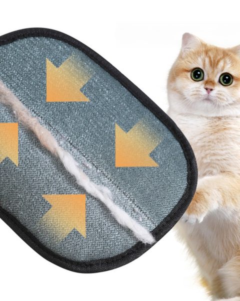 Rękawica do usuwania sierści z kanapy mebli