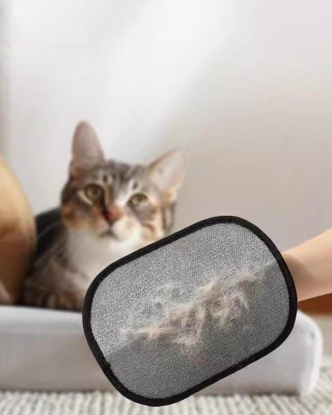 Rękawica do usuwania sierści z kanapy mebli