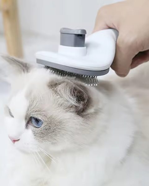 Szczotka samoczyszcząca do sierści psa kota bezpieczna