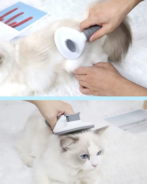 Szczotka samoczyszcząca do sierści psa kota bezpieczna